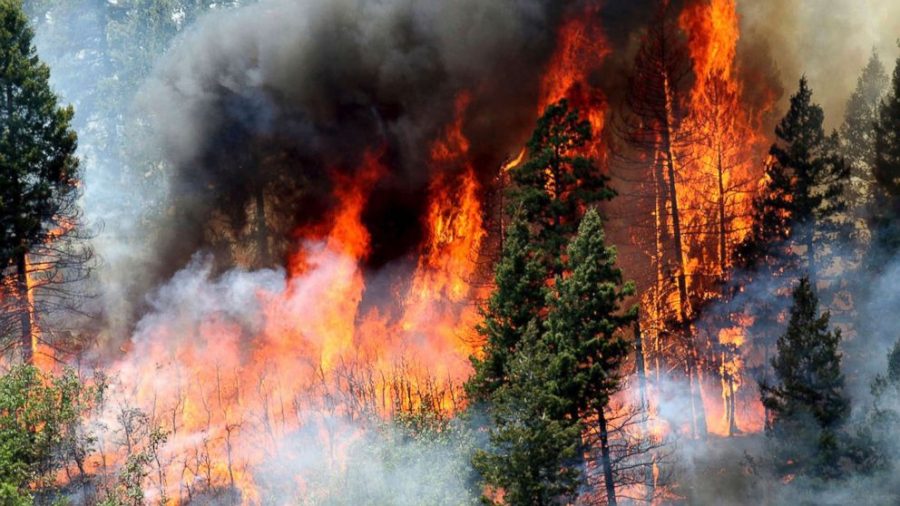 Wildfires Erupt in California