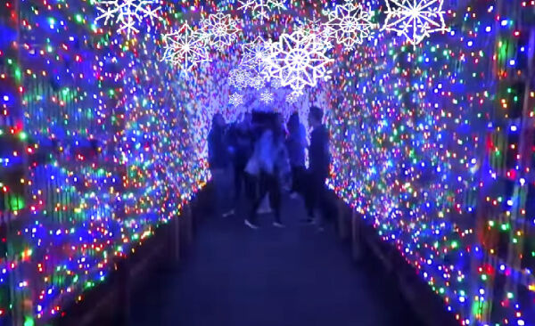 Winter Wonderlights at the Greensboro Science Center is one of many safe winter activities to do during the covid holiday season. This light display will be available until Jan. 3.