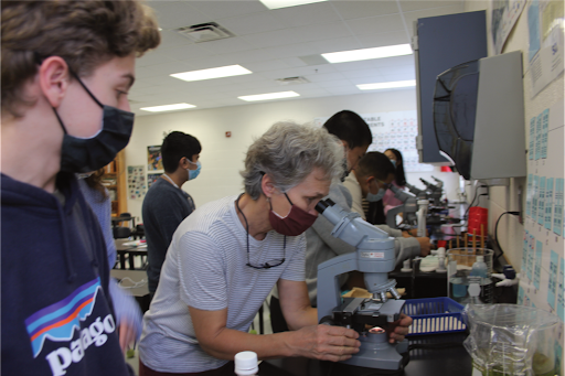 During a protist lab, biology teacher Helen Wrobel peers through a microscope in order to locate an elusive paramecium. Wrobel is this years 2021-2022 Teacher of the Year.