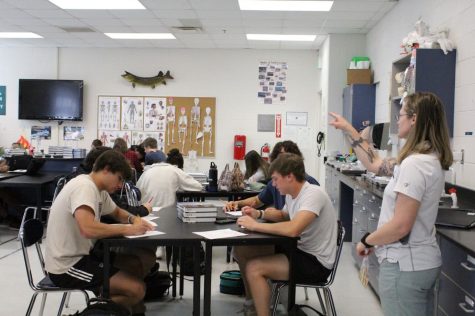 AP classes gear up for final exams